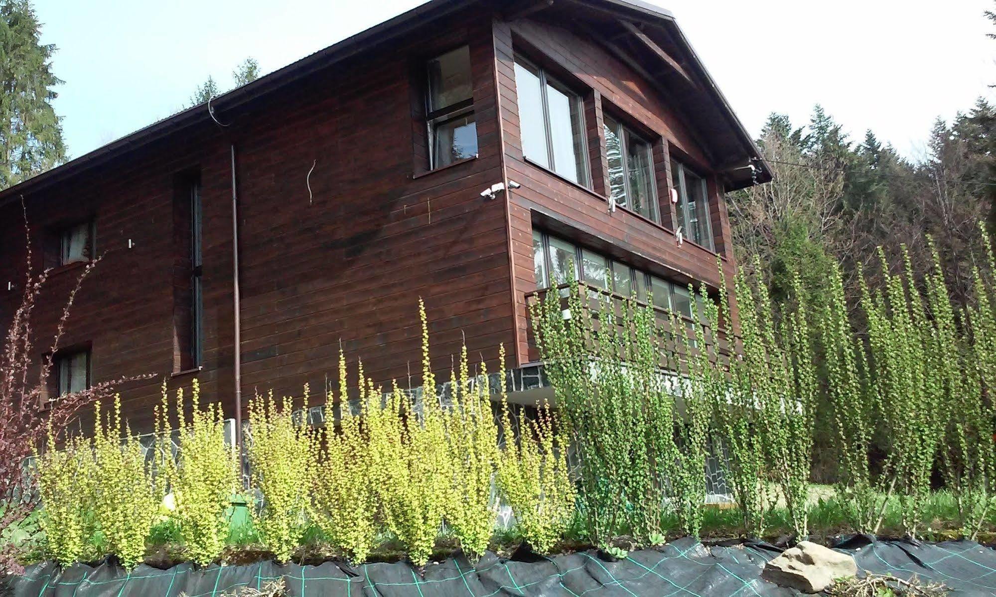 Karolinka Guest House Szczyrk Exteriör bild